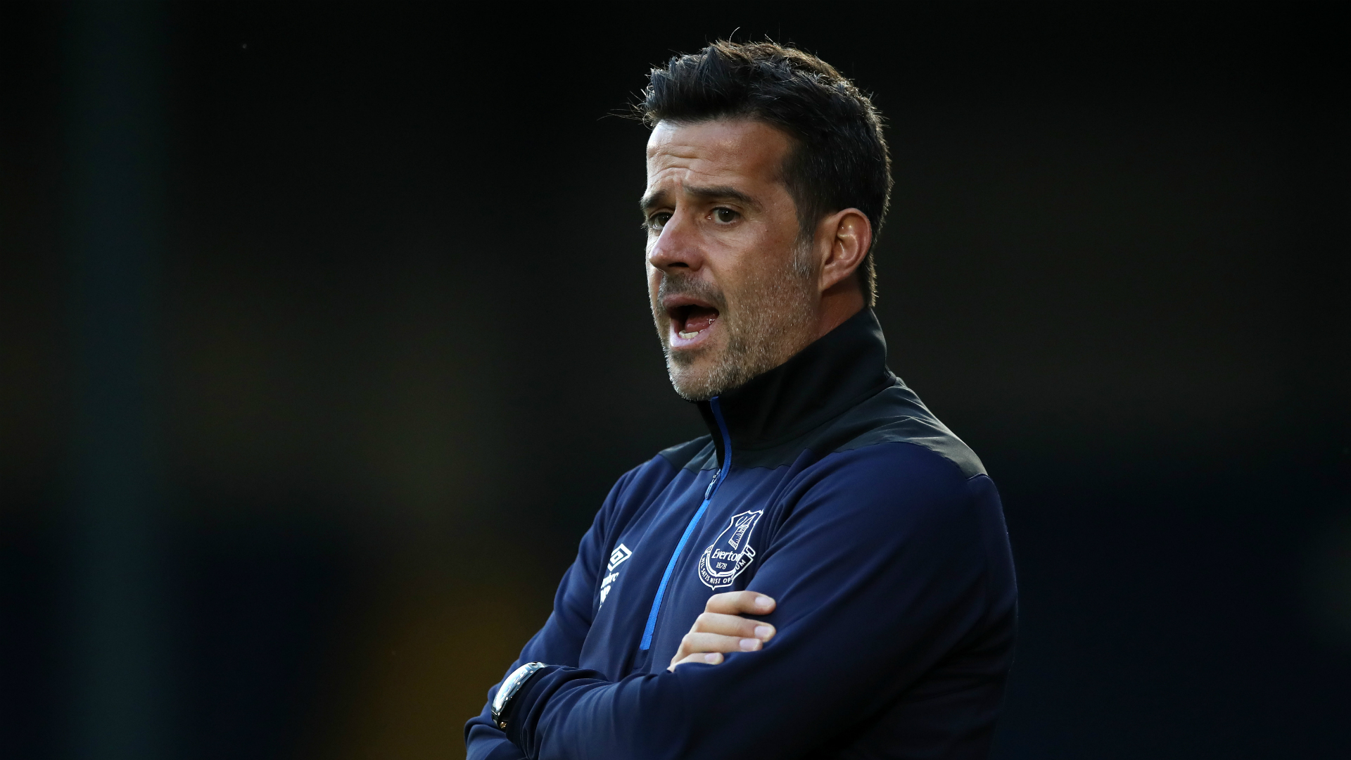 不仅强化了 不仅强化了